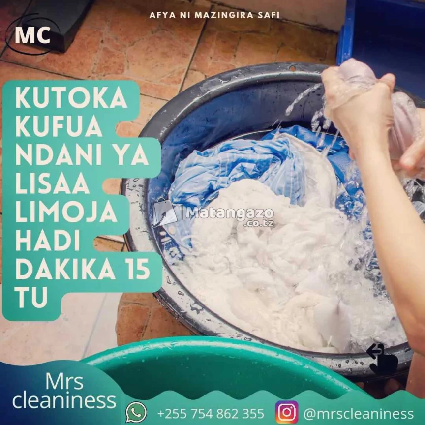 Mrs Cleaniness