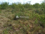 Shamba Linauzwa Kiwangwa