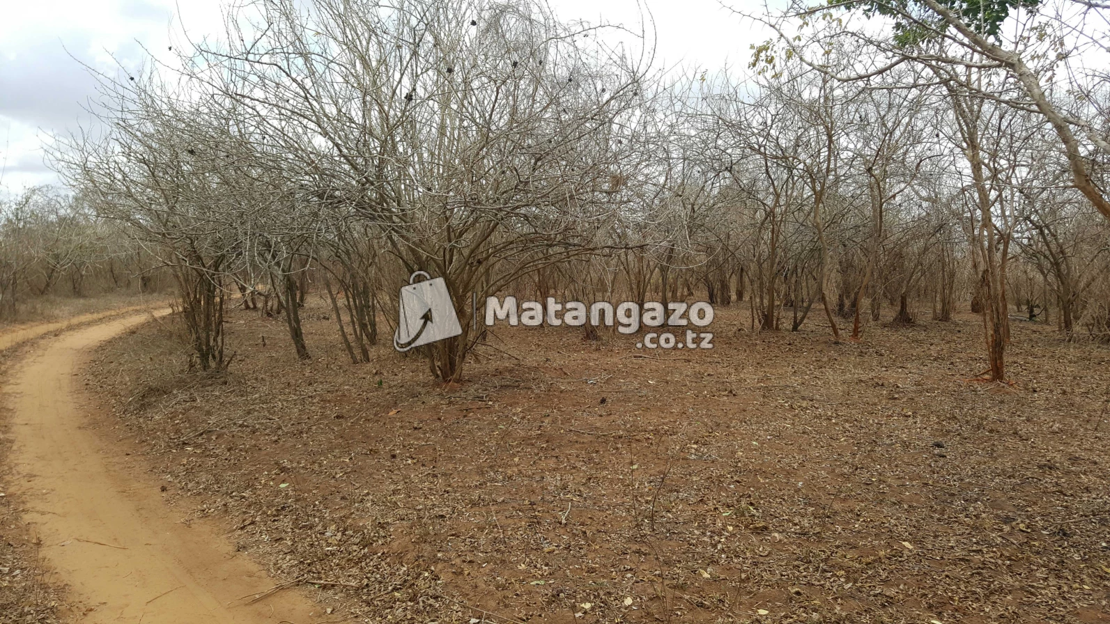 Shamba La Kulima Nanasi