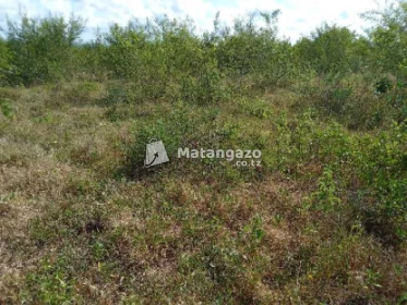 Shamba Linauzwa Kiwangwa