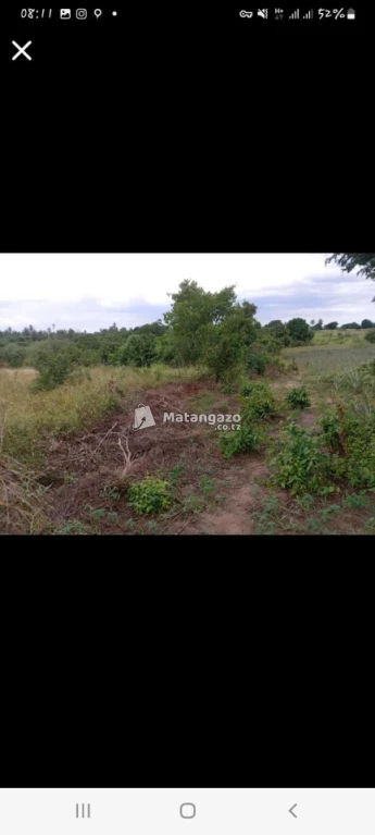 Shamba Linauzwa Mwavi