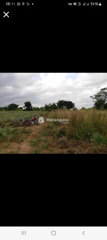 Shamba Linauzwa Mwavi