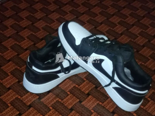 Air Jordan Size 42