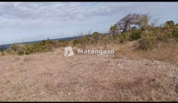 Beach Plot No2 For Sale