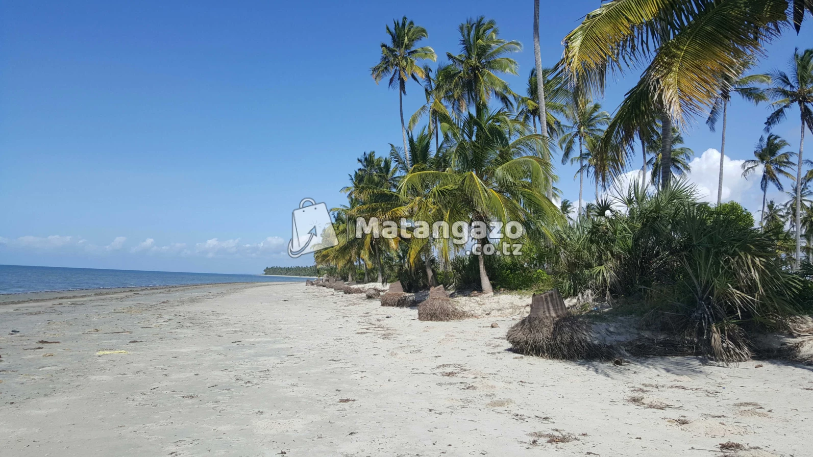 Beach  Plort  Tanga
