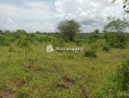 Shamba Linauzwa Mwetemo