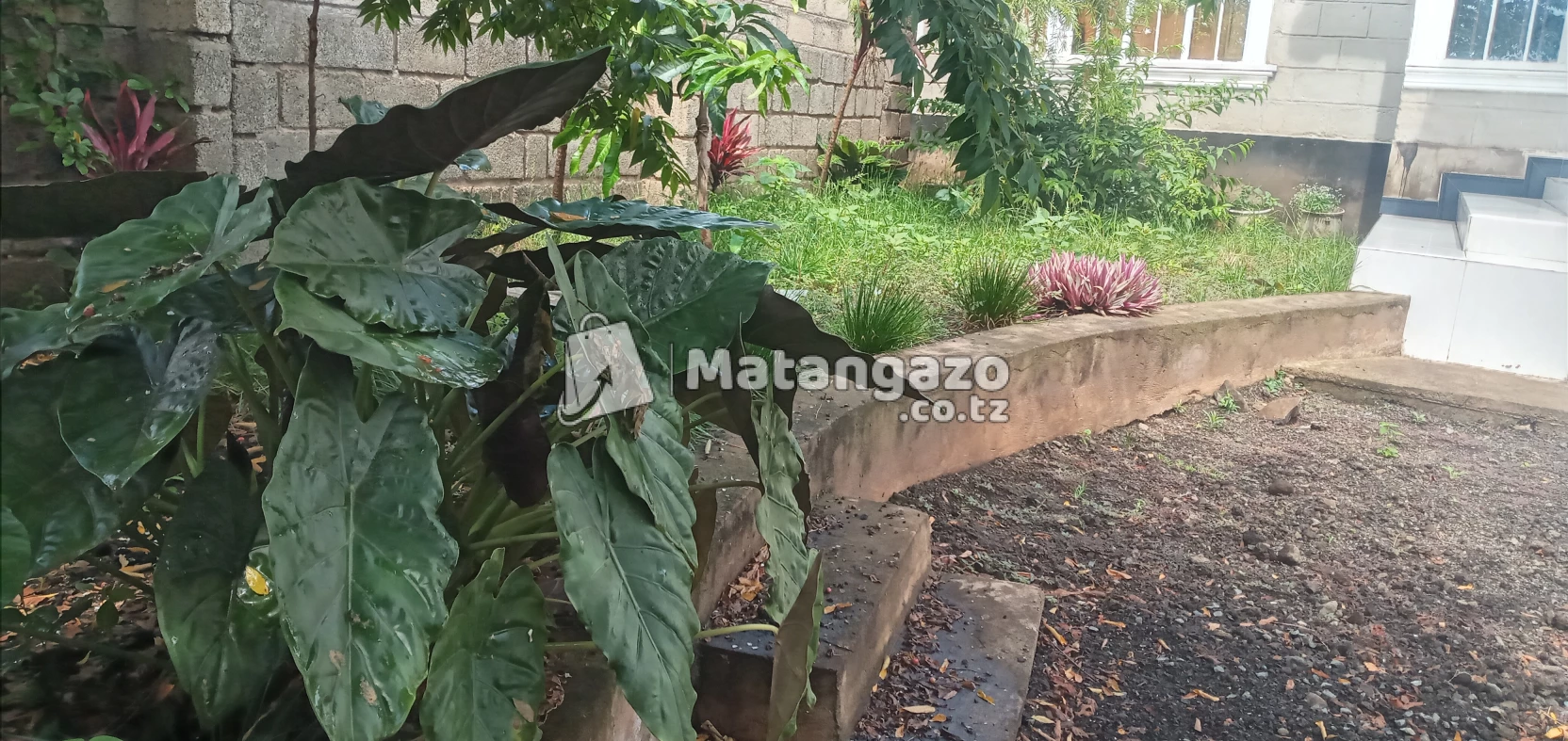 4BEDROOM HOUSE FOR RENT IN MOSHONO
