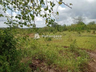 Shamba Linauzwa Mwetemo