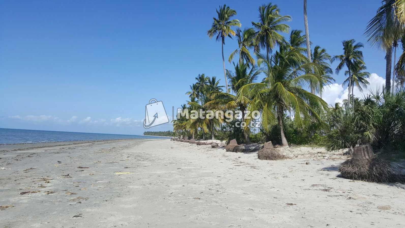 Beach  Plort  Tanga