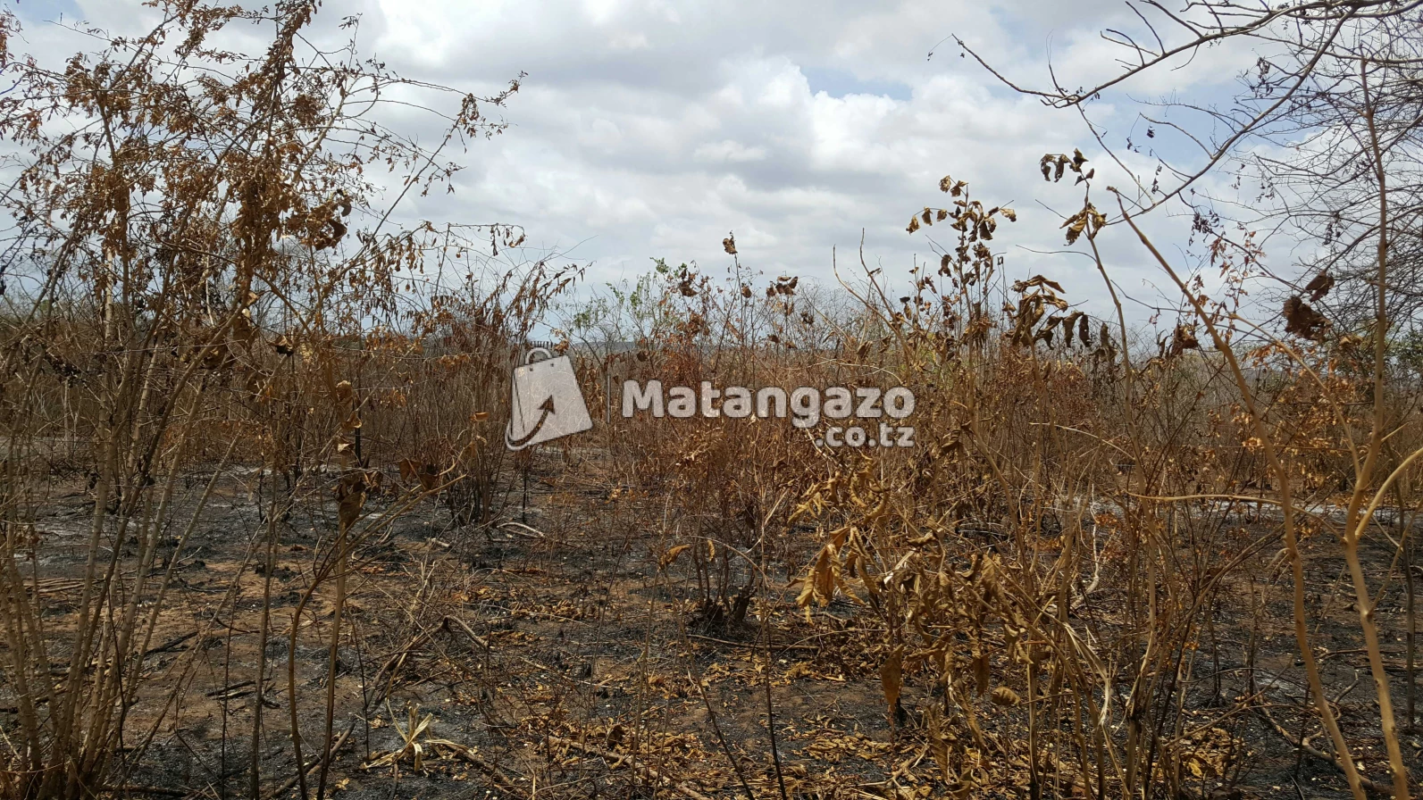 Shamba  Linauzwa  Mwetemo