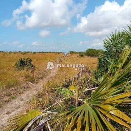 Viwanja Buyuni Kigamboni