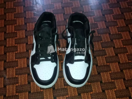 Air Jordan Size 42