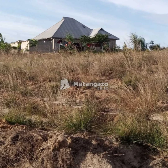 Plots For Sale