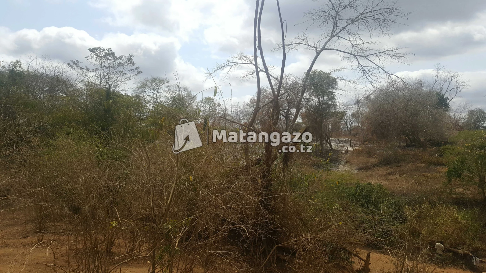 Shamba  Linauzwa  Kiwangwa