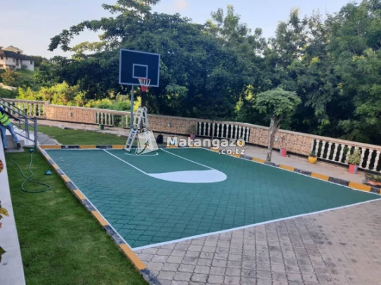 Basketball Hoop