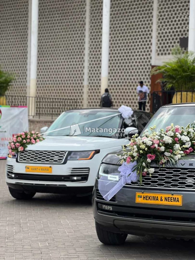 Car rentals (tunakodisha magari)