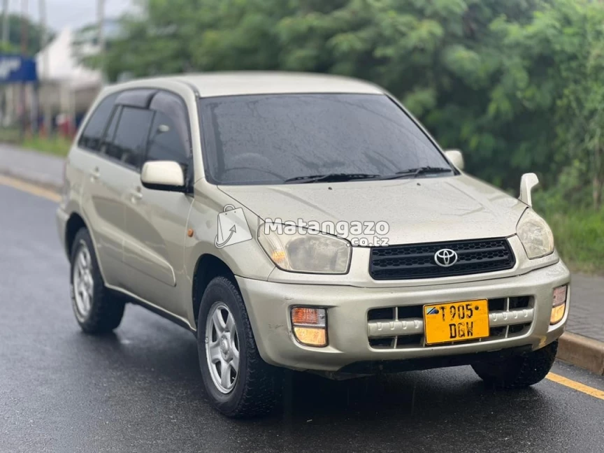 Toyota RAV4 2001 Gold
