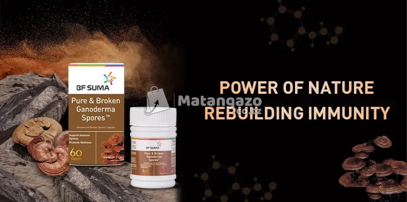 PURE AND BROKEN GANODERMA SPORES