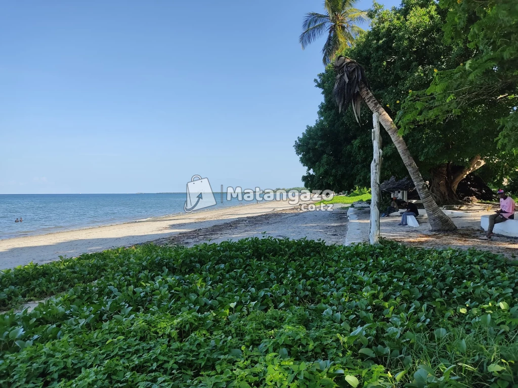 beach plots bagamoyo pwani