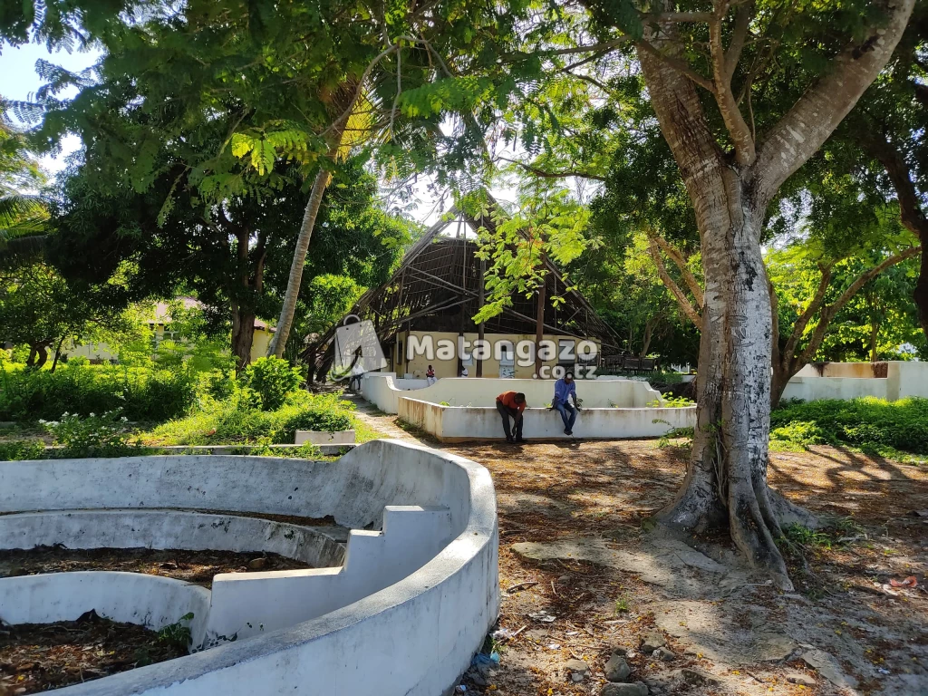 beach plots bagamoyo pwani