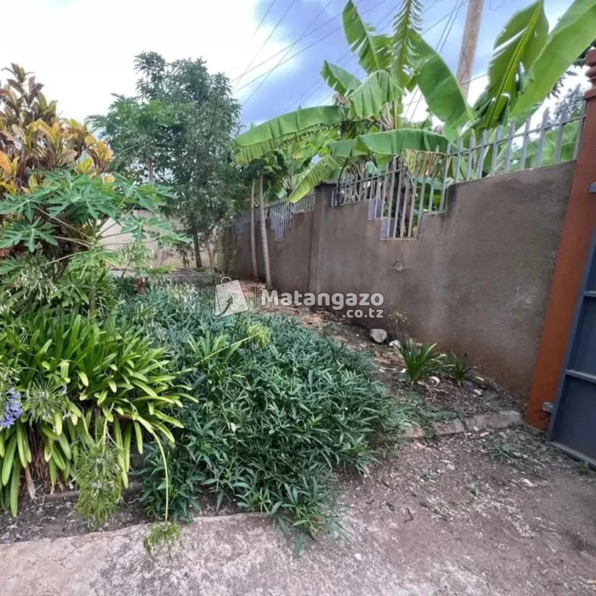3BEDROOM HOUSE FOR RENT IN NJIRO