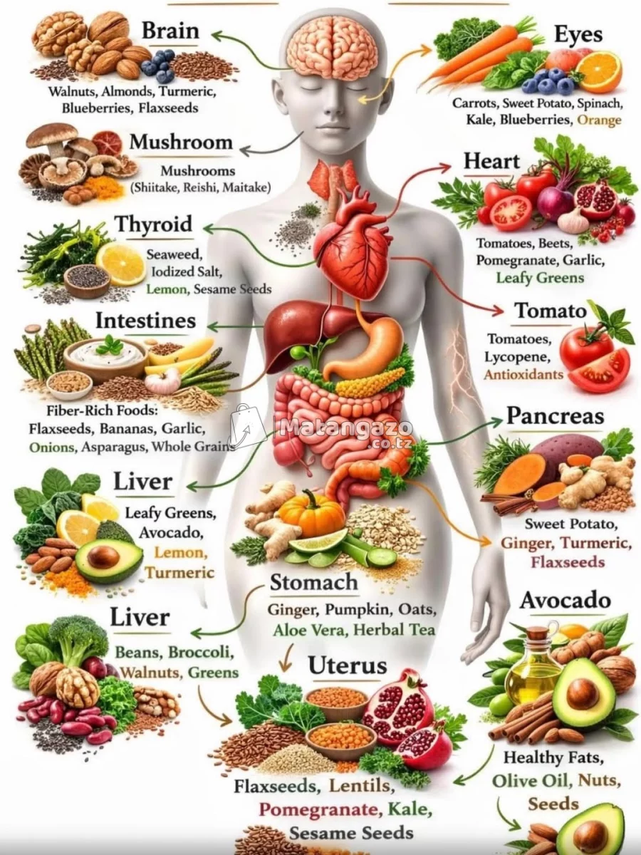 matibabu kwa cell shina za matunda