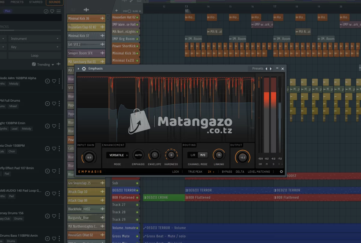 Image-Line FL Studio 25 ( Installation )