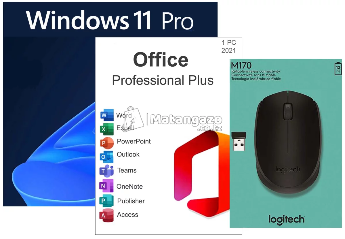 Microsoft Office 2021 Professional + Windows 11 Pro + Logitech Mouse