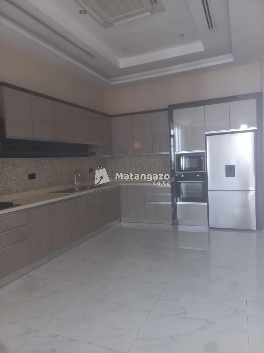 Luxury Apartment  For Rent