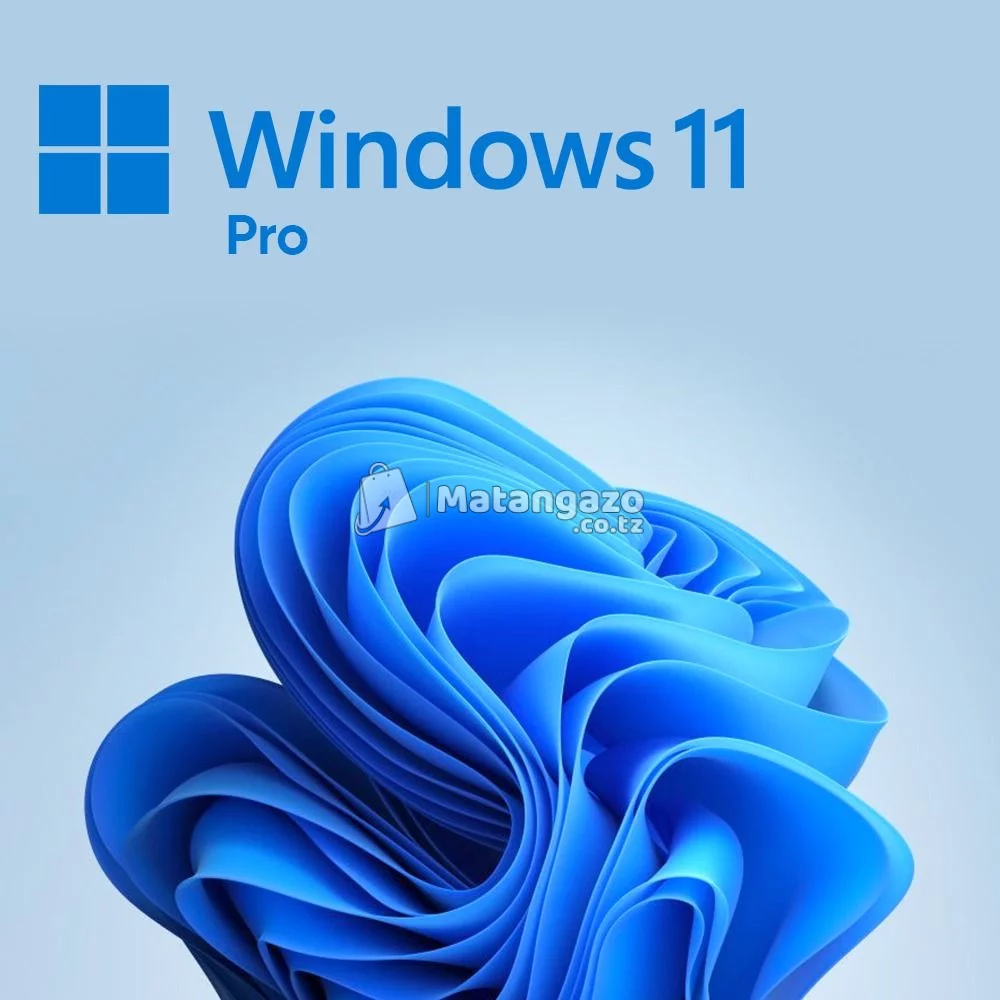 Windows 11 Professional 25H2 ( Installation )