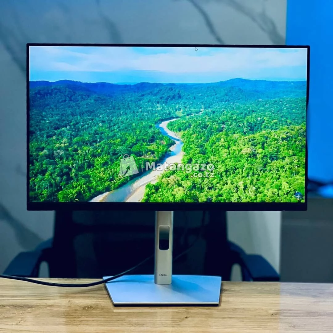 Dell monitor 24 inches