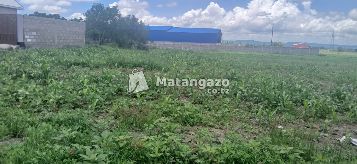 3ACCRE LAND FOR SALE AT KING'ORI AREA,ARUSHA