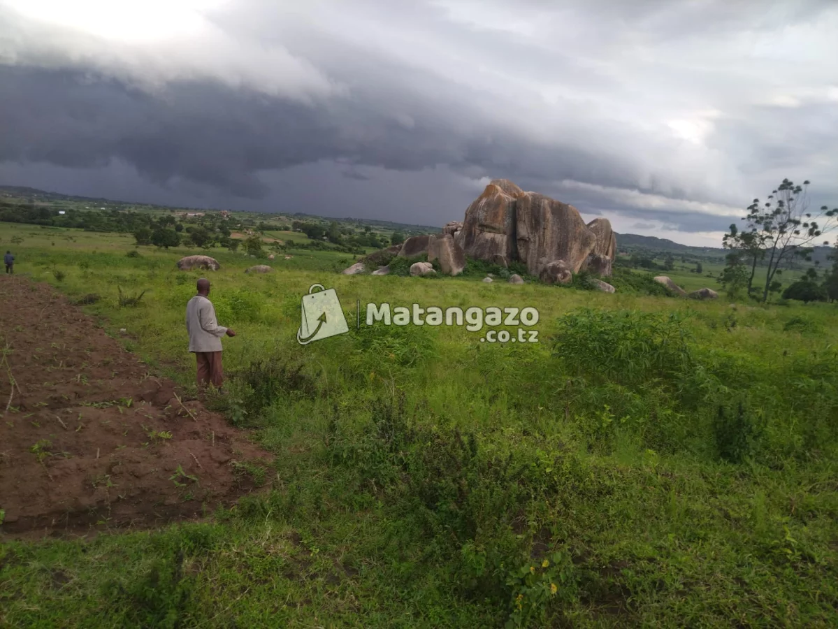 LAND FOR SALE