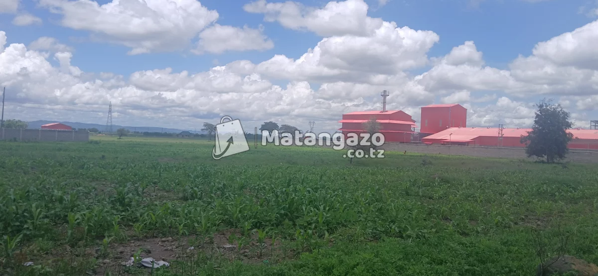 3ACCRE LAND FOR SALE AT KING'ORI AREA,ARUSHA