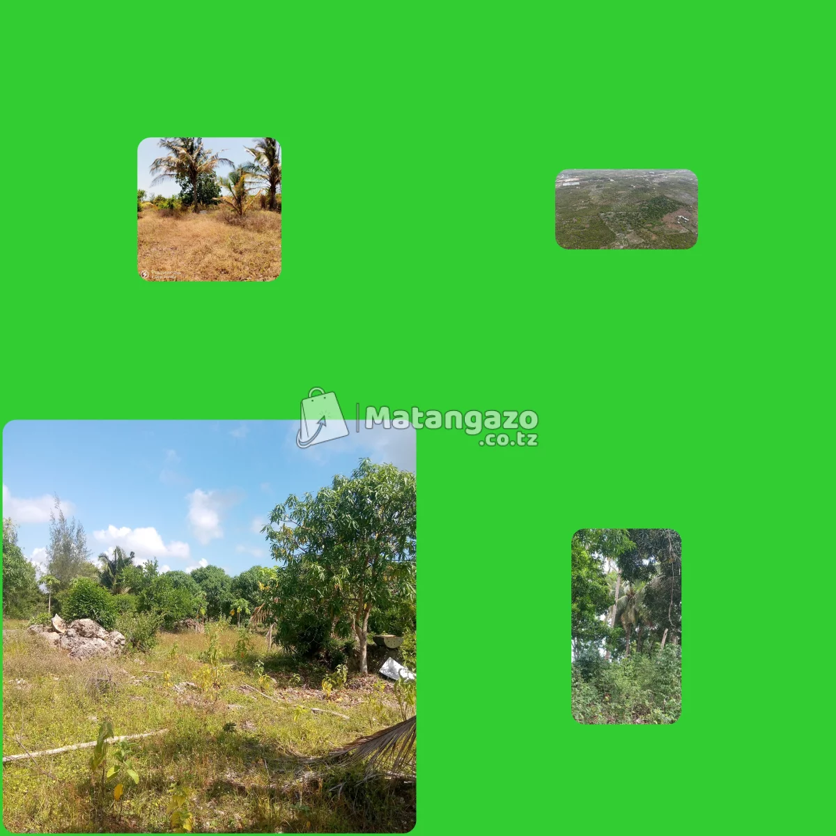 Mtule farmland near to Paje