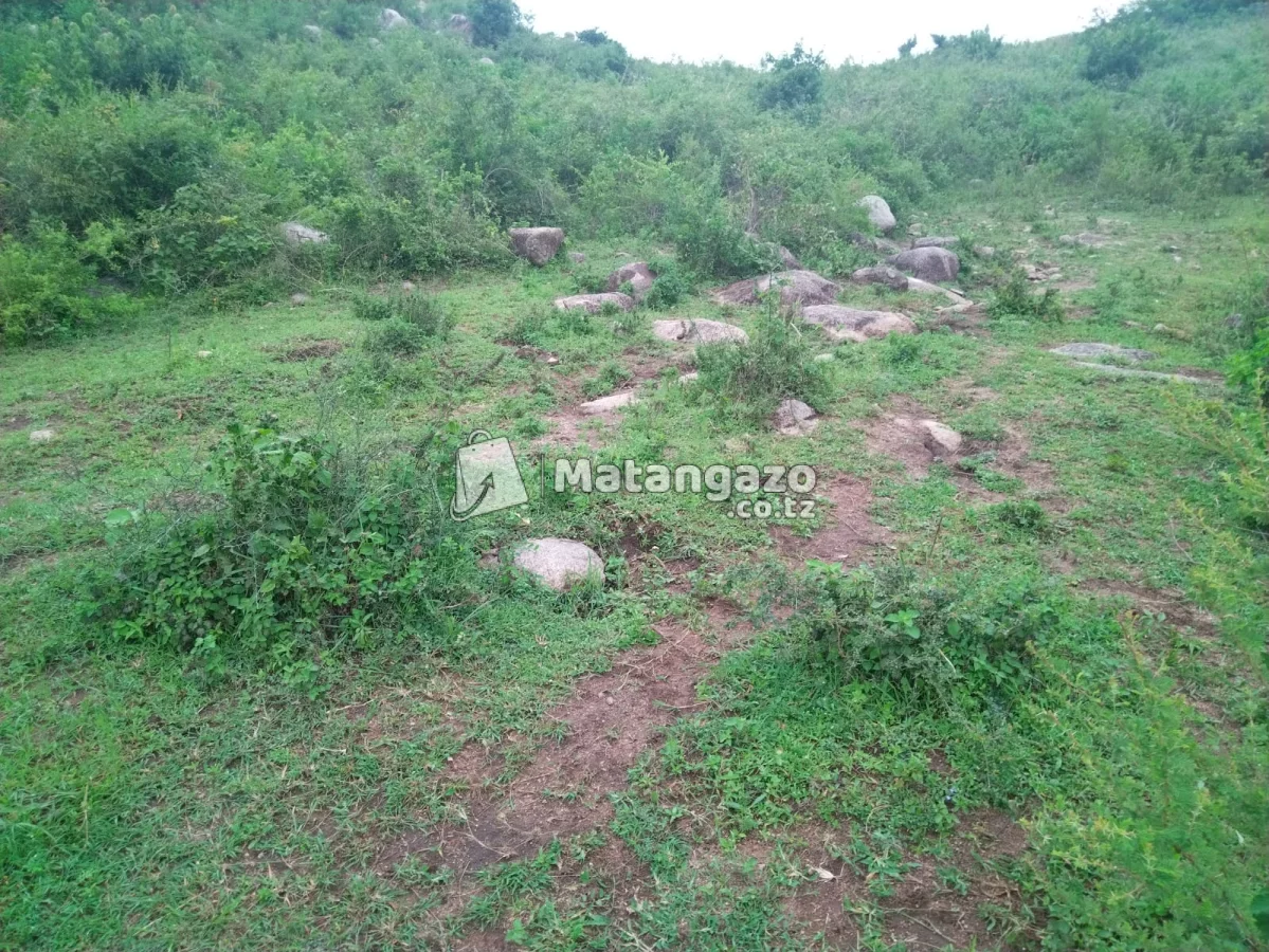 LAND FOR SALE