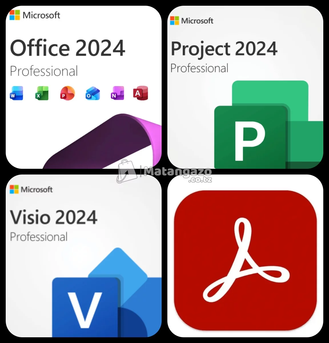 Microsoft Office 2024 Professional Plus Complete ( 2026 )