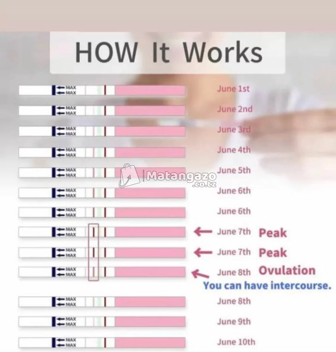 OVULATION TEST KIT