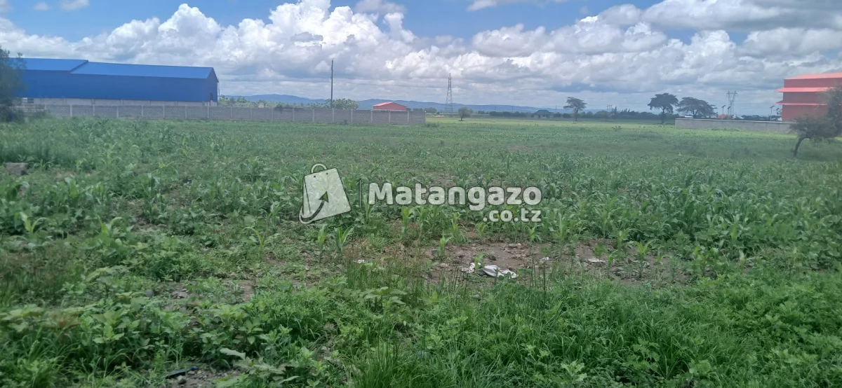 3ACCRE LAND FOR SALE AT KING'ORI AREA,ARUSHA