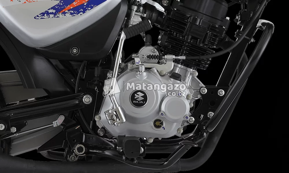 New Boxer 150 CC Multi color