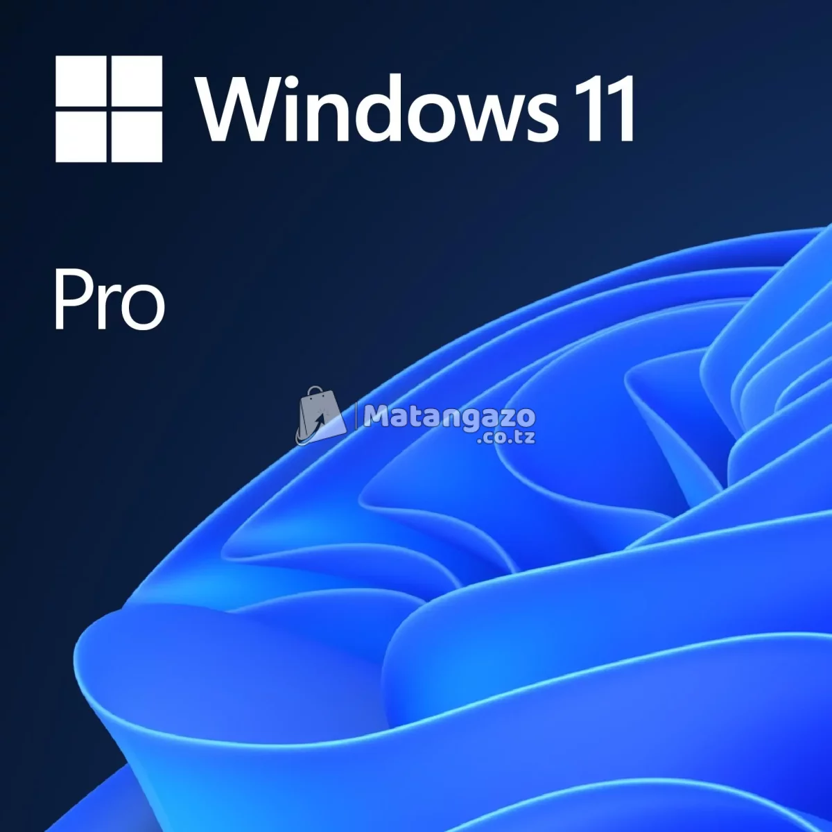 Windows 11 Professional 25H2 ( Installation )