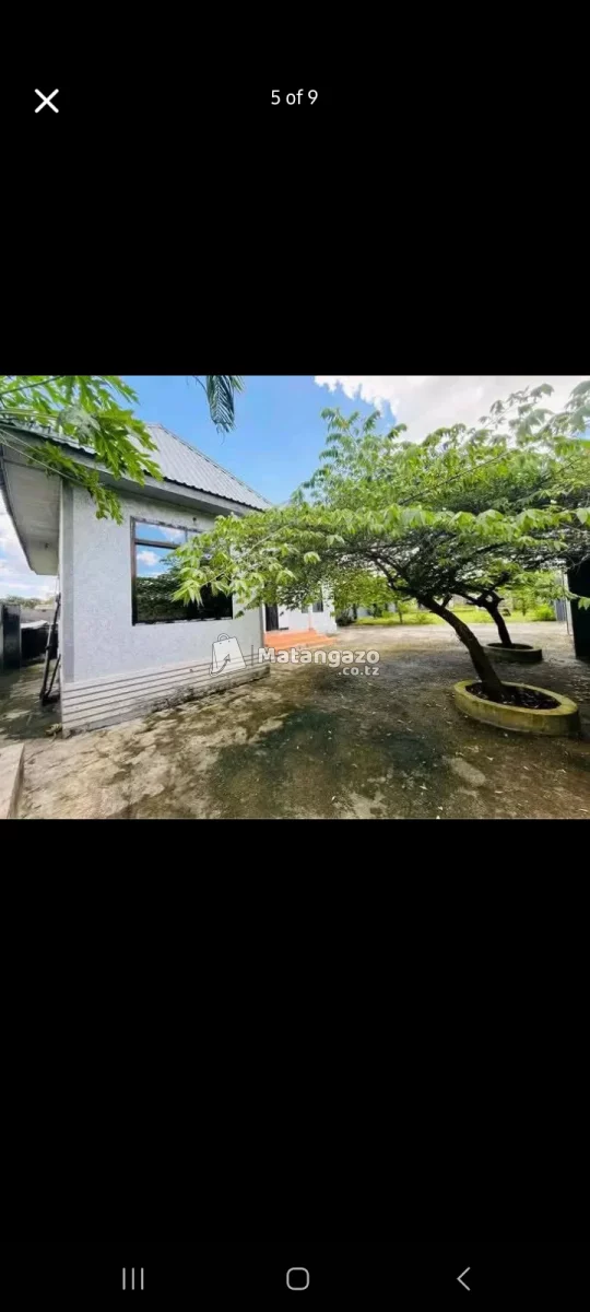 Nyumba kubwa +pagale vinauzwa 58M