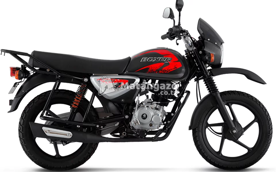 New Boxer 150 CC Multi color