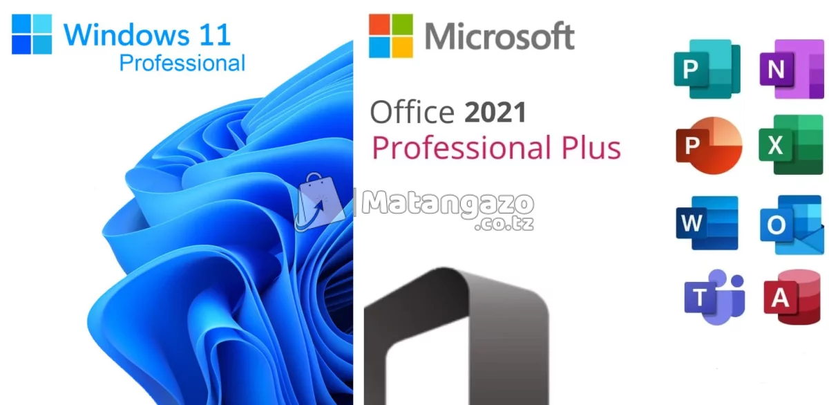 Microsoft Office 2021 Professional + Windows 11 Pro + Logitech Mouse