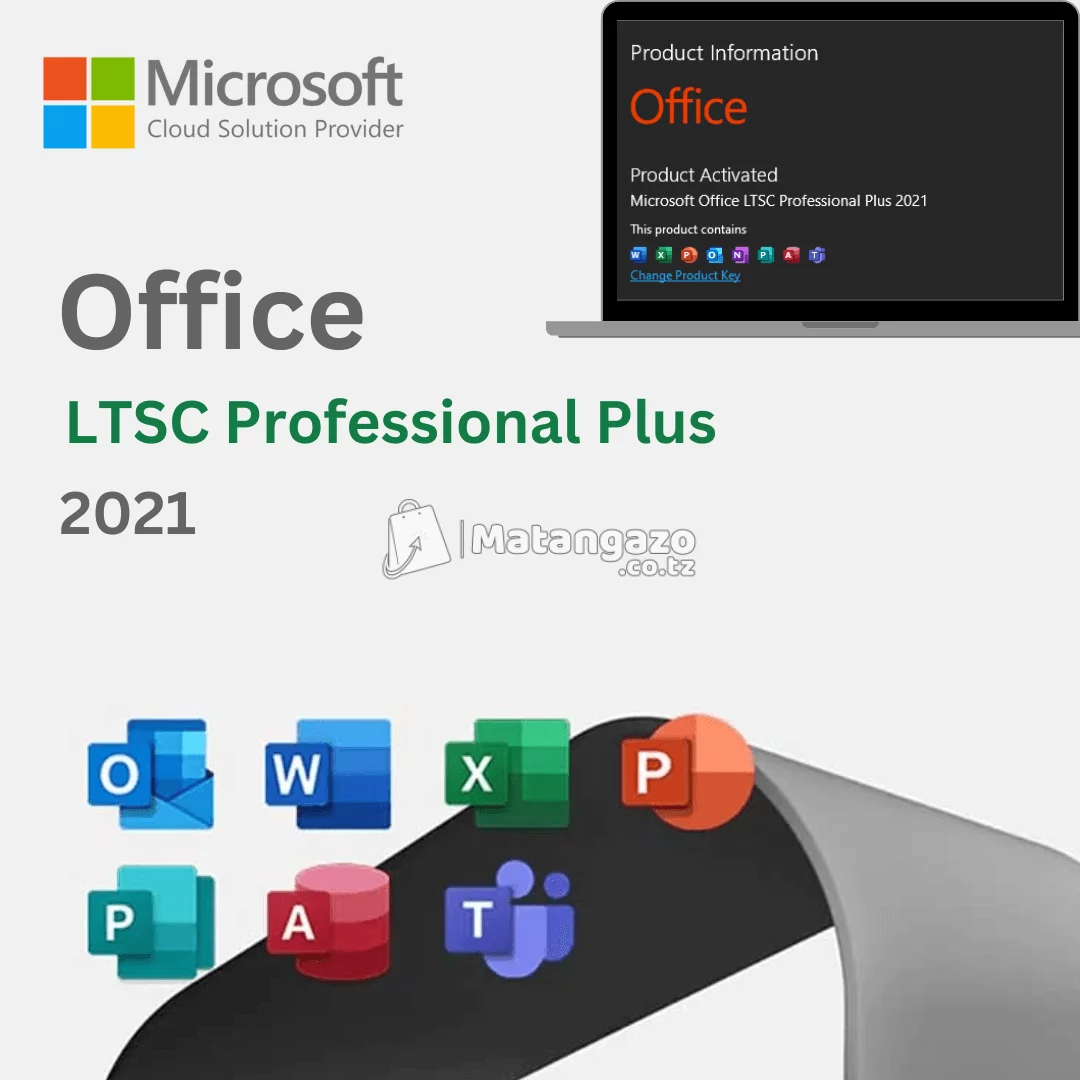Microsoft Office 2021 Professional Plus LTSC